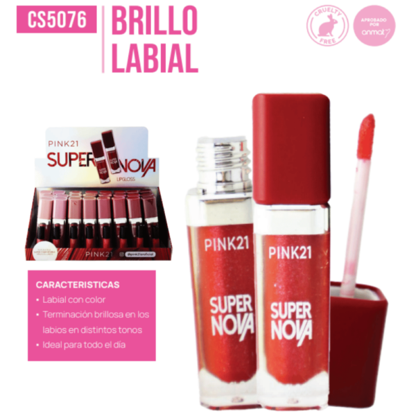 BRILLO LABIAL PINK 21 CS5076/68046